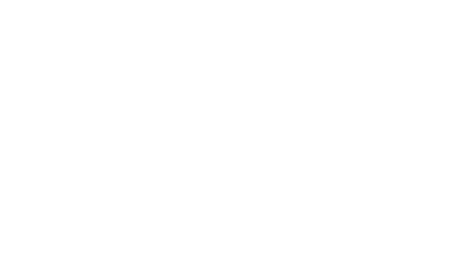 BCS Sri Lanka Section Logo